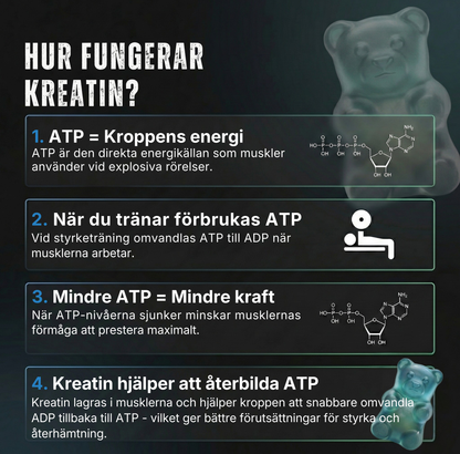 GYMCORE Creatine Monohydrate Gummies - Blue Raspberry